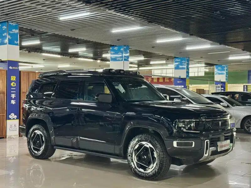 Deep Blue G318 2025 Worry-Free Crossing Edition 4WD Secret Realm Edition — миниатюра 3