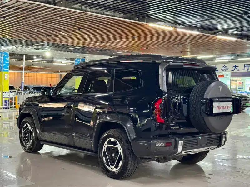 Deep Blue G318 2025 Worry-Free Crossing Edition 4WD Secret Realm Edition — миниатюра 4