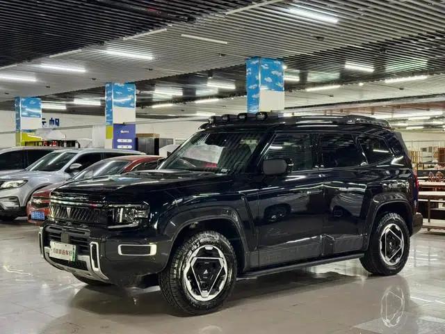 Deep Blue G318 2025 Worry-Free Crossing Edition 4WD Secret Realm Edition
