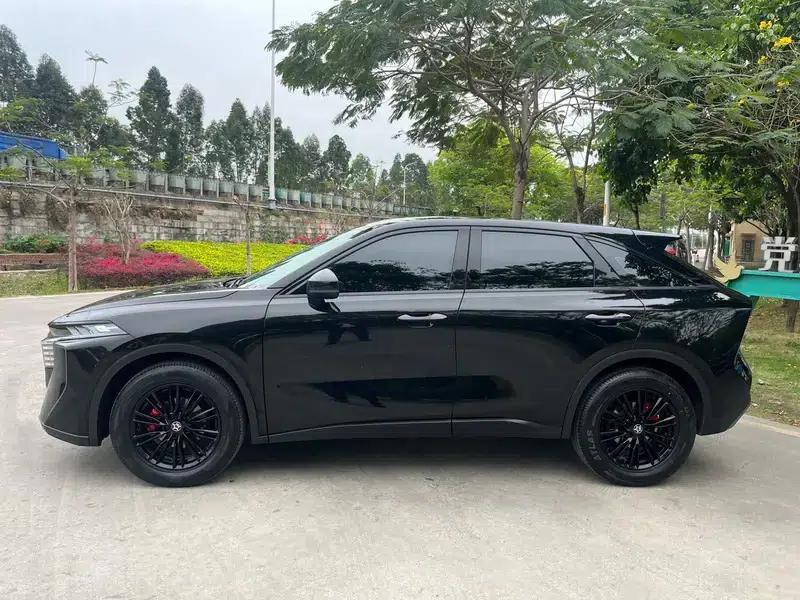 Venucia V2022 260T Dark Horse Edition - Idol — миниатюра 4