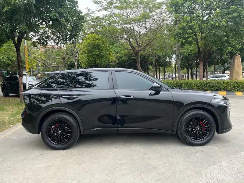 Venucia V2022 260T Dark Horse Edition - Idol — миниатюра 8