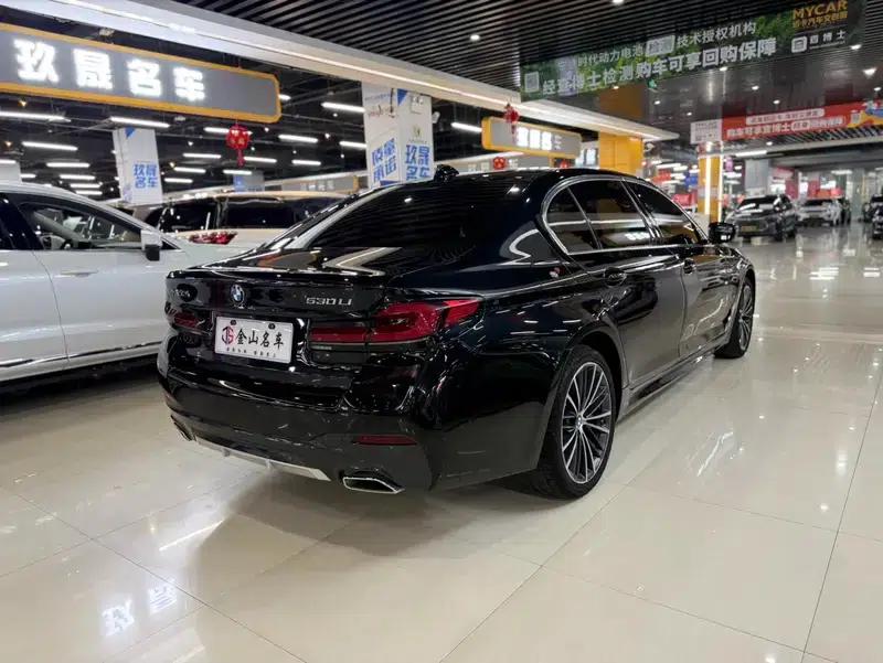 2022 BMW 5 Series 530Li Leading Edition M Sport Package — миниатюра 6