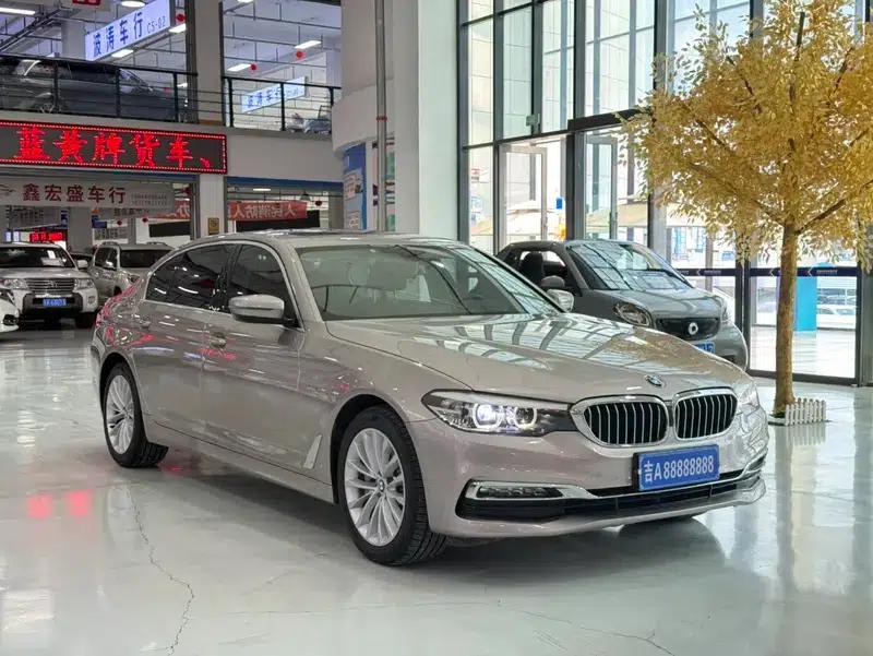 2018 BMW 5 Series Facelift 530Li xDrive Luxury Package — миниатюра 3