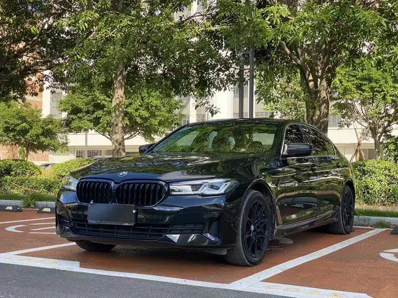 2021 BMW 5 Series 530Li xDrive Luxury Package — миниатюра 1