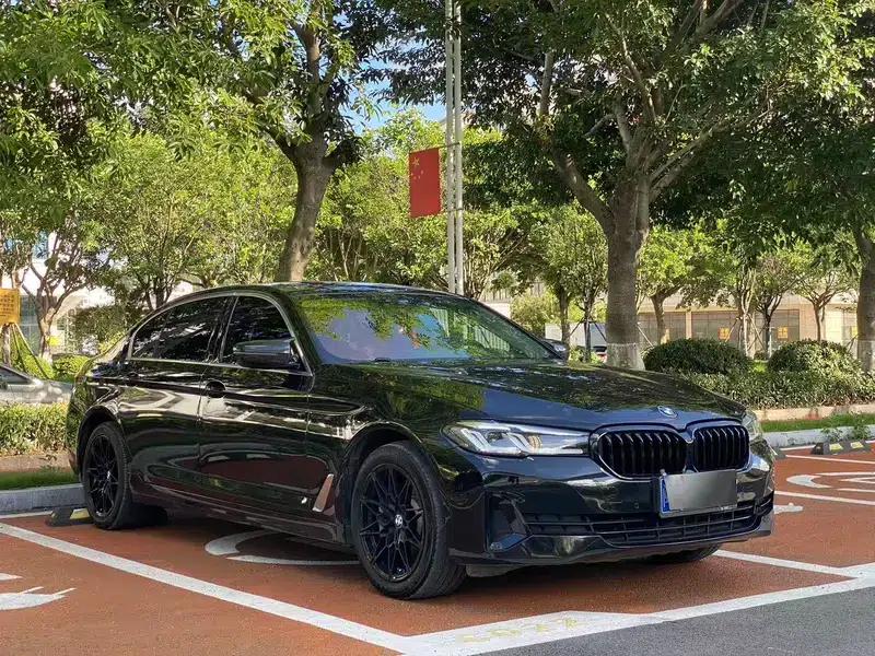 2021 BMW 5 Series 530Li xDrive Luxury Package — миниатюра 3