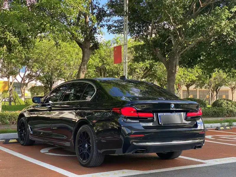 2021 BMW 5 Series 530Li xDrive Luxury Package — миниатюра 4