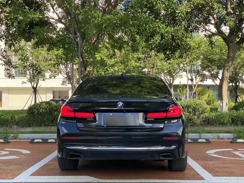 2021 BMW 5 Series 530Li xDrive Luxury Package — миниатюра 5