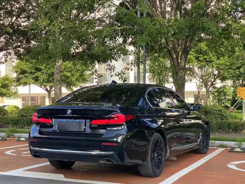 2021 BMW 5 Series 530Li xDrive Luxury Package — миниатюра 6