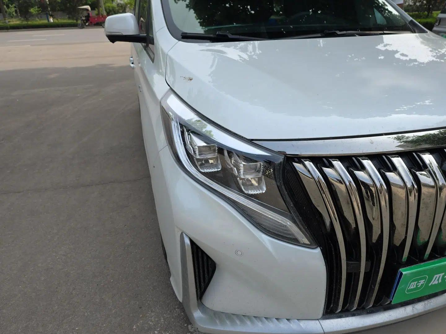 GAC Trumpchi M8 2021 Master Series 390T Ultimate Edition — миниатюра 7