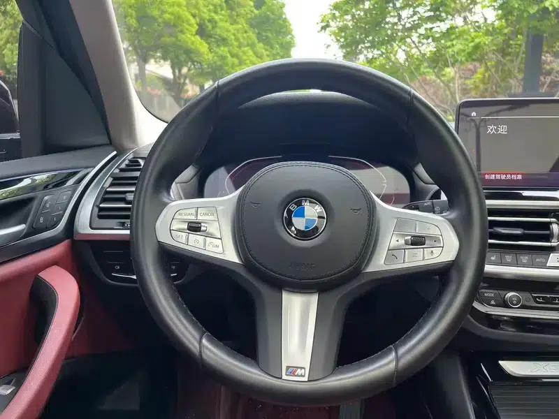 2024 BMW X3 2.0T Automatic AWD 5-seater Factory Custom Edition — миниатюра 9
