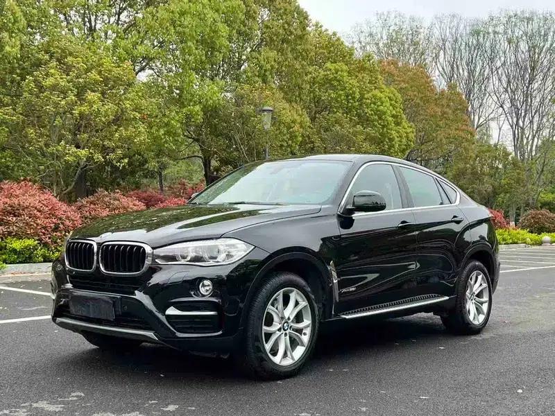 2017 BMW X6 3.0T Automatic AWD 5-seater (Parallel Import) — миниатюра 1
