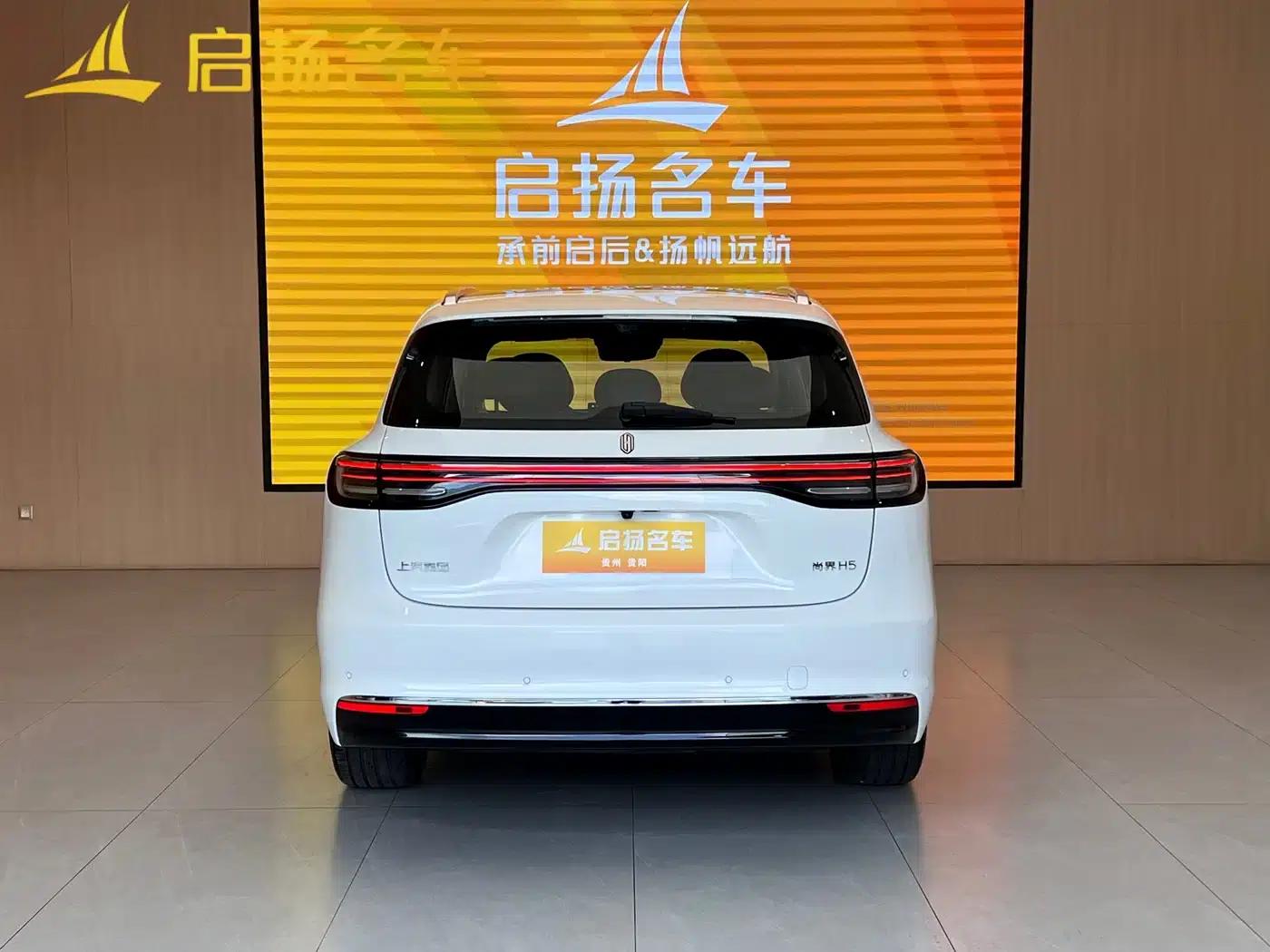 2025 Shangjie H5 Extended Range Max — миниатюра 9