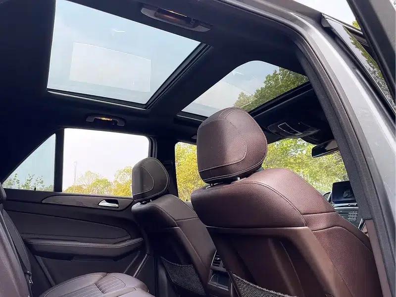 Mercedes-Benz GLE (Imported) 2017 GLE 320 4MATIC Dynamic — миниатюра 16