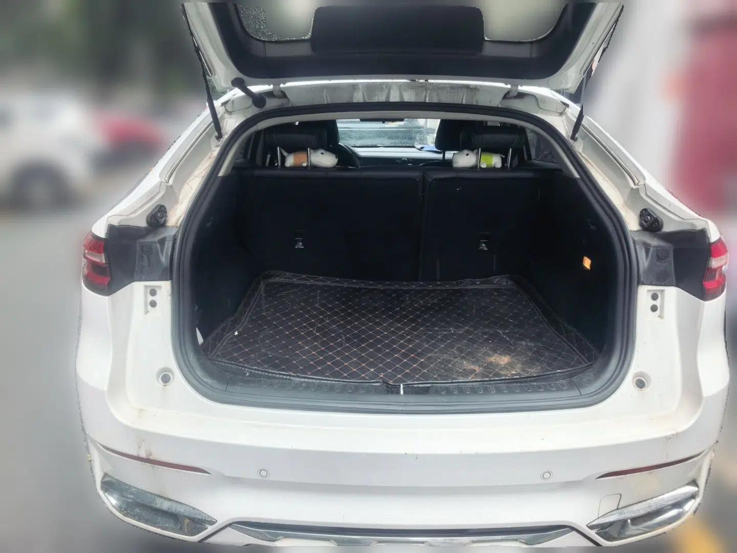 Haval F7x 2021 2.0T Two-Wheel Drive Smart & Trendy Edition — миниатюра 23