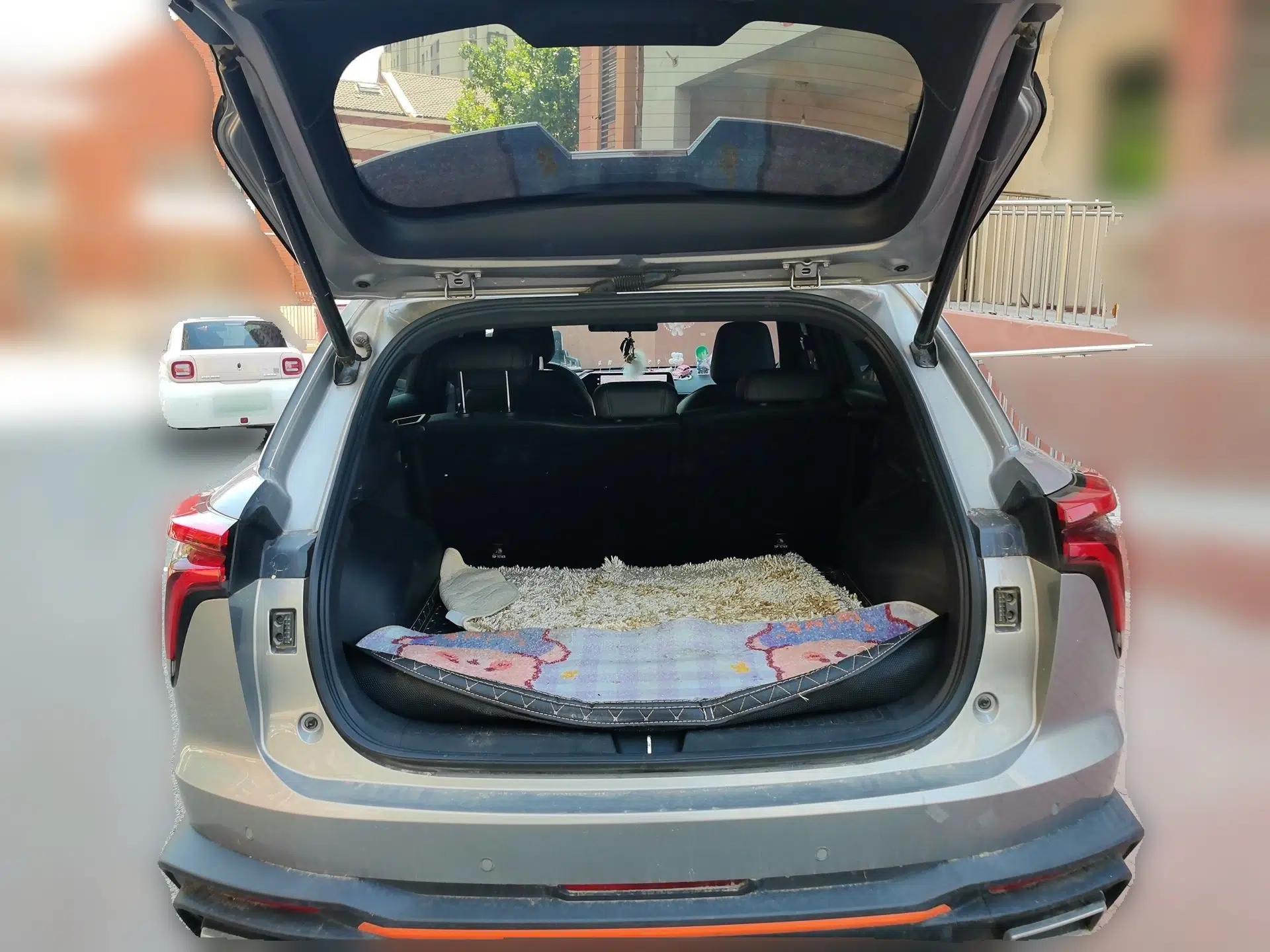 Haval XY 2022 1.5T Smart Edition — миниатюра 19