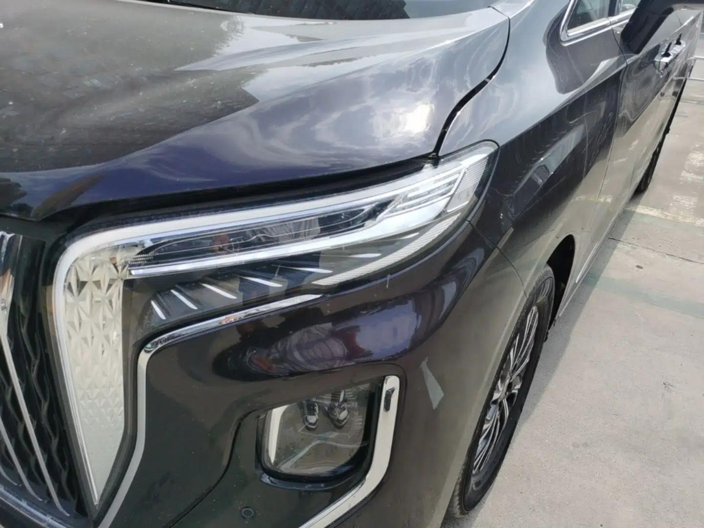 Hongqi HQ9 PHEV 2024 2.0T Four-Wheel Drive Business Edition — миниатюра 8