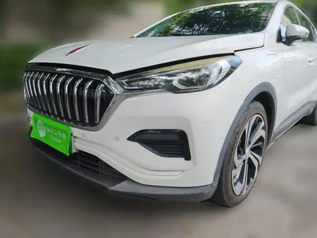 Hongqi E-HS3 2019 Zhilian Qiyue Two-Wheel Drive Version