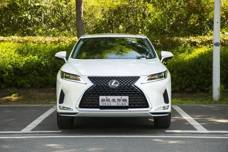 Lexus RX 2020 300 2WD Elite Edition (China VI Emission Standard) — миниатюра 2
