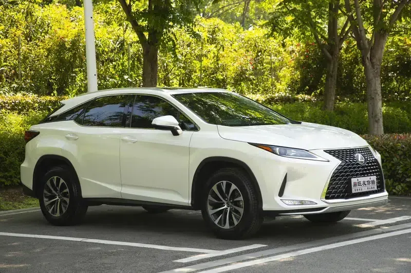 Lexus RX 2020 300 2WD Elite Edition (China VI Emission Standard) — миниатюра 3