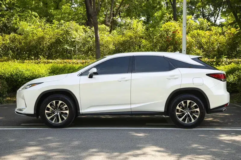 Lexus RX 2020 300 2WD Elite Edition (China VI Emission Standard) — миниатюра 4
