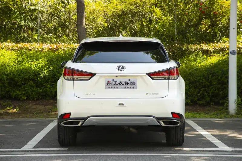 Lexus RX 2020 300 2WD Elite Edition (China VI Emission Standard) — миниатюра 6