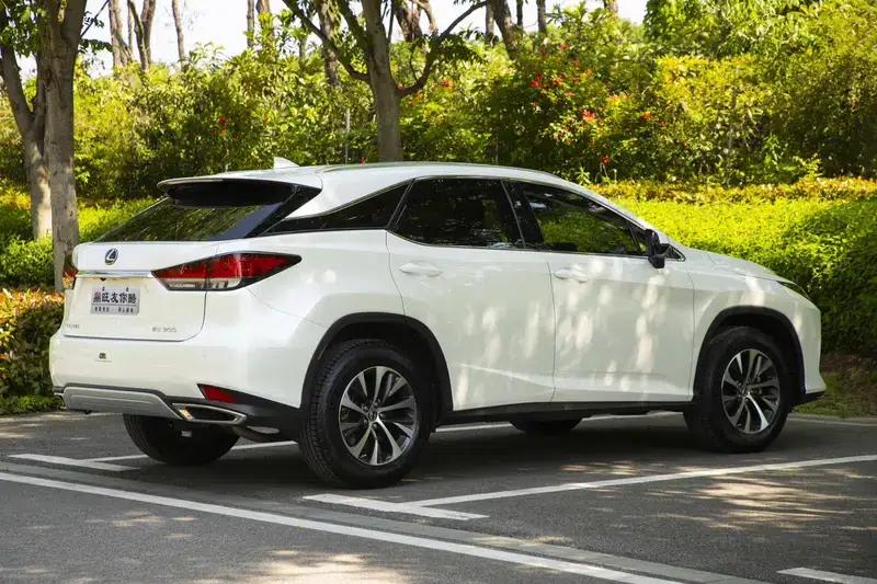 Lexus RX 2020 300 2WD Elite Edition (China VI Emission Standard) — миниатюра 7
