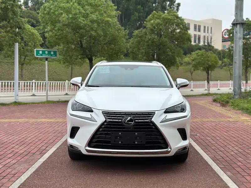 Lexus NX 2020 200 AWD Sport Edition (China VI Emission Standard) — миниатюра 2
