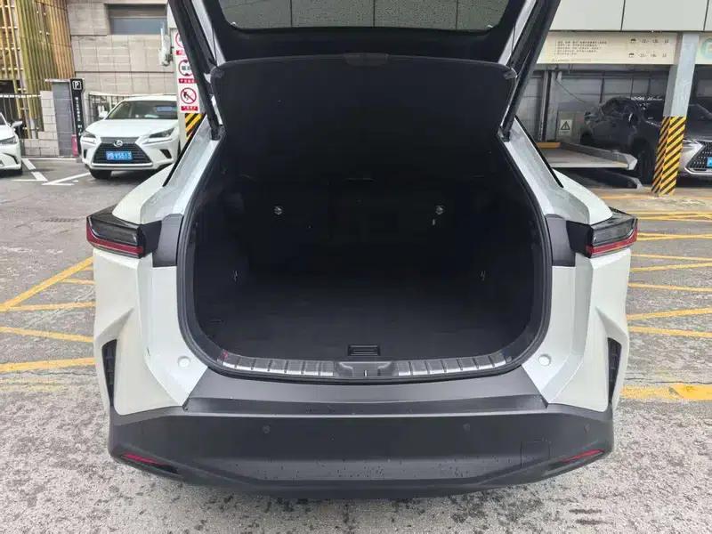 Lexus RZ 2023 450e DIRECT4 Luxury Edition — миниатюра 10