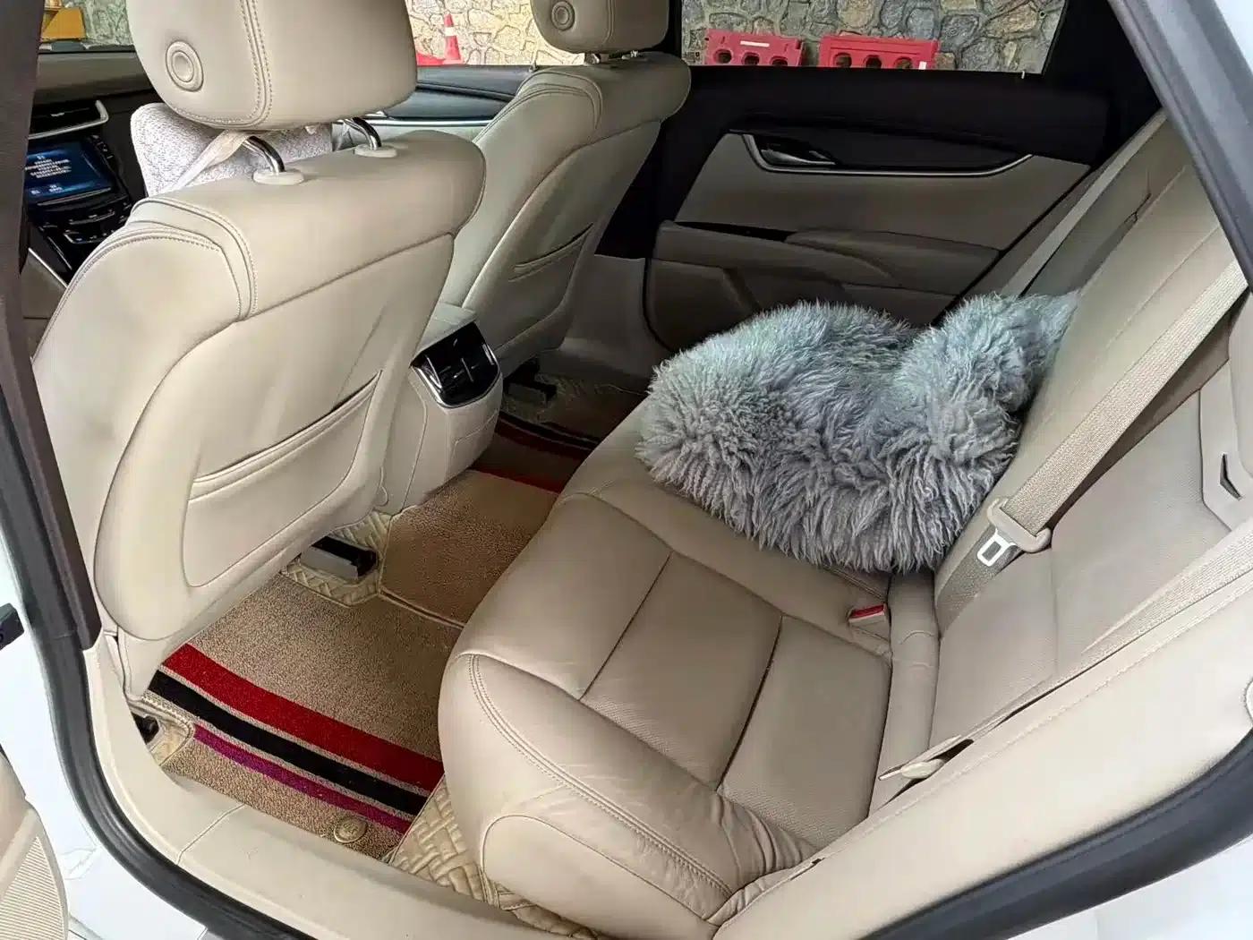 2015 Cadillac XTS 28T Comfort — миниатюра 7