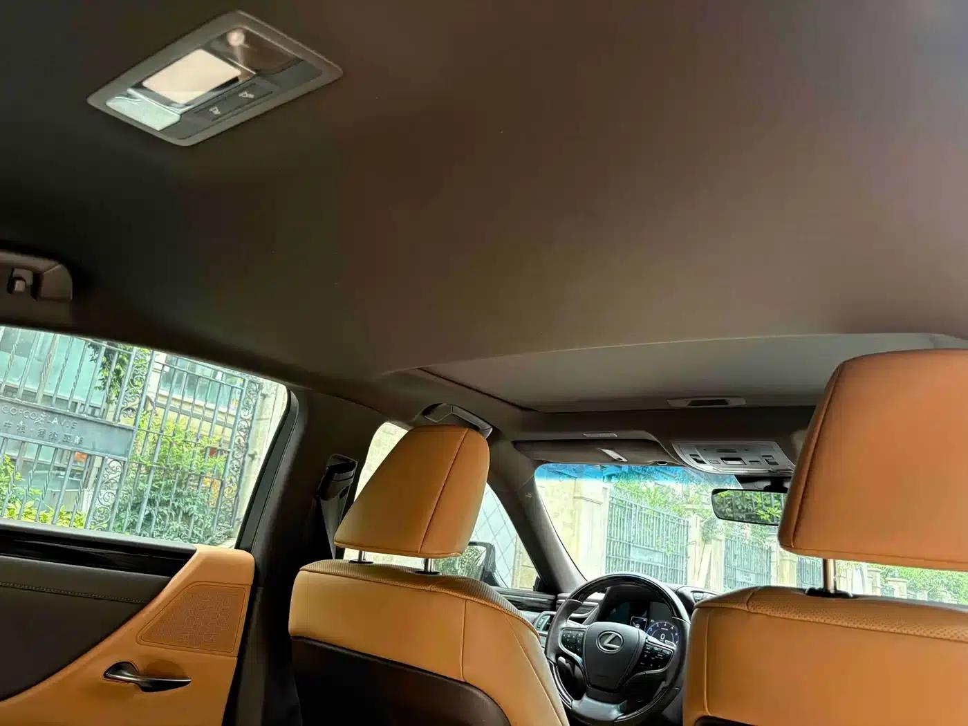 Lexus ES 2020 200 Luxury Edition — миниатюра 19