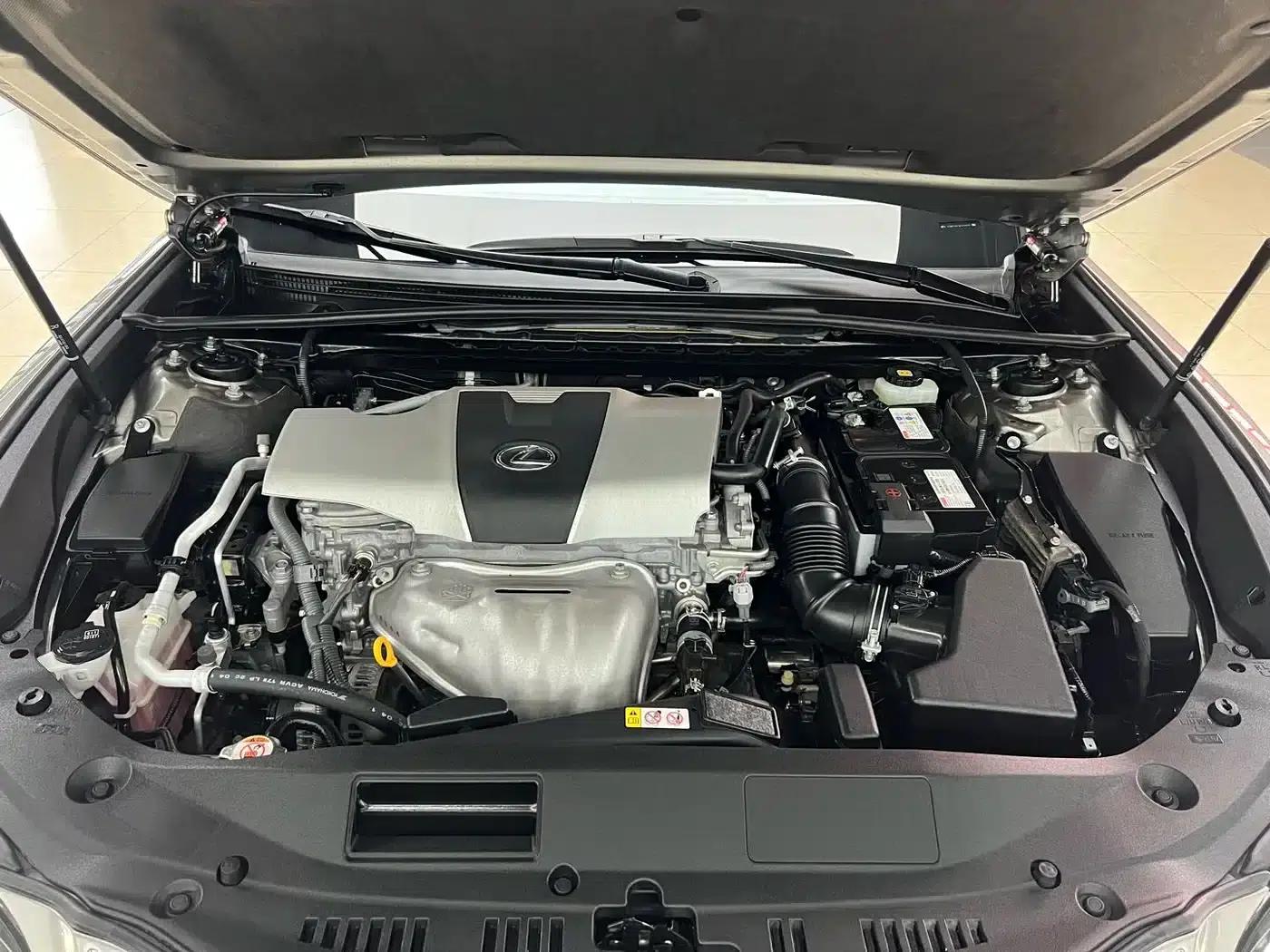Lexus ES 2018 200 Premium Edition (China V emission standard) — миниатюра 26
