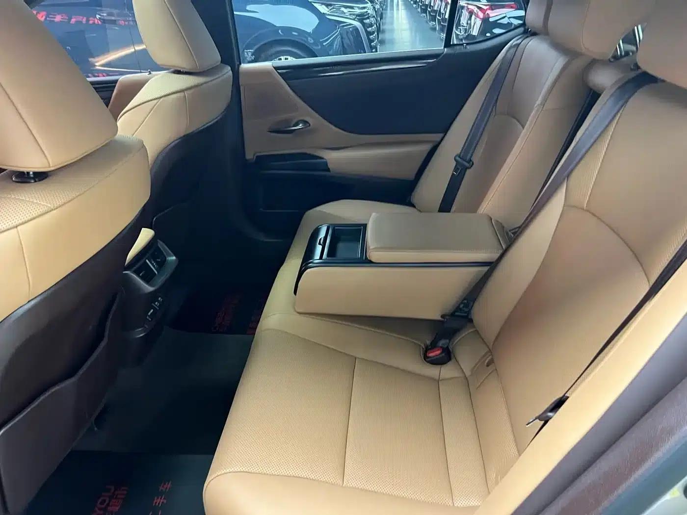 Lexus ES 2018 200 Premium Edition (China V emission standard) — миниатюра 10