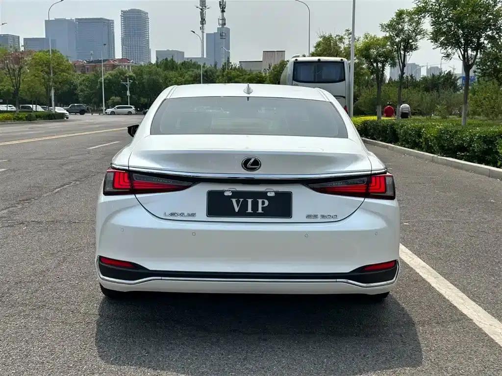Lexus ES 2018 200 Premium Edition (China V emission standard) — миниатюра 8
