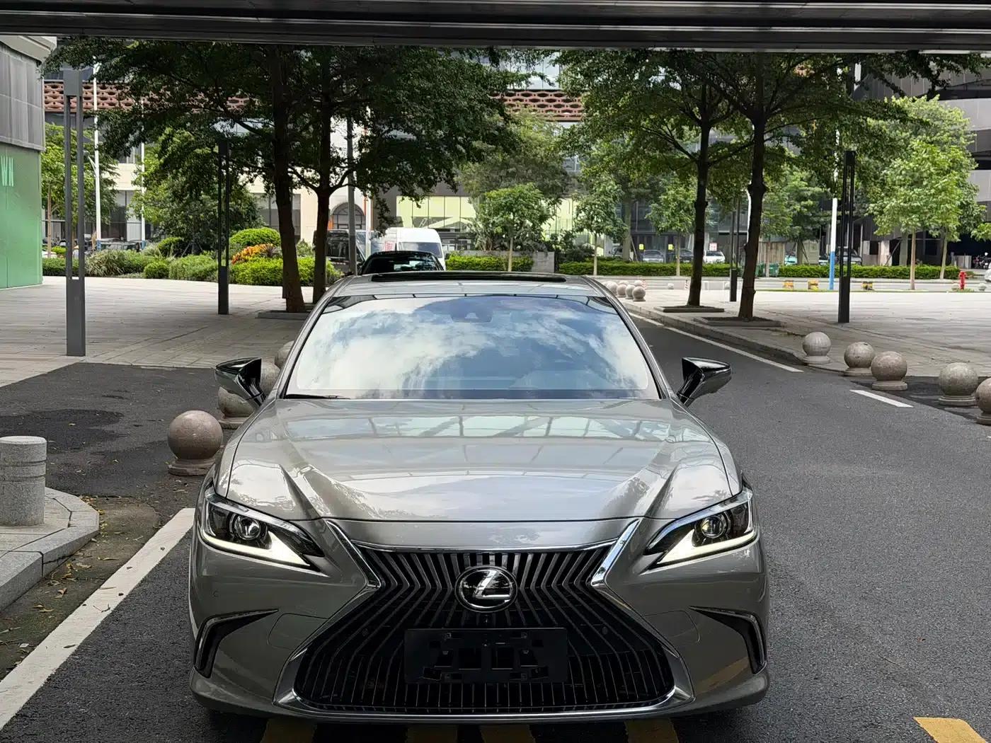 Lexus ES 2020 260 Premium Edition — миниатюра 2