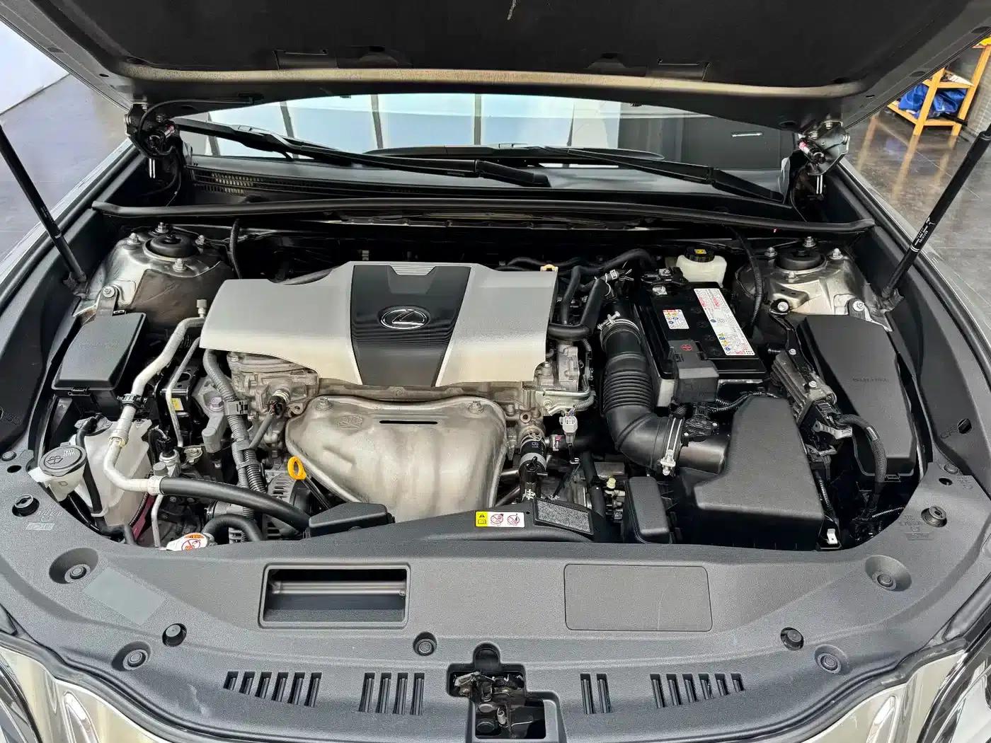 Lexus ES 2018 200 Premium Edition (China V emission standard) — миниатюра 18