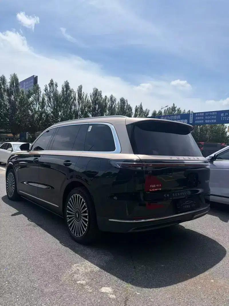 Fengyun T11 2026 Model 220 4WD Family Fun — миниатюра 4