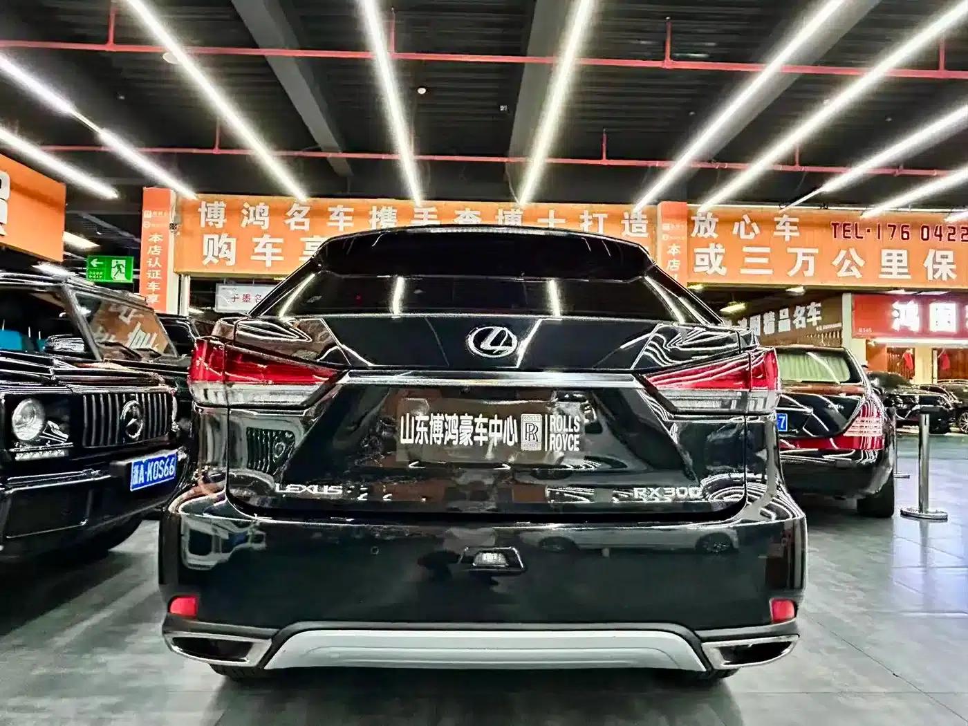 Lexus RX 2020 300 2WD Comfort Edition (China V emission standard) — миниатюра 16