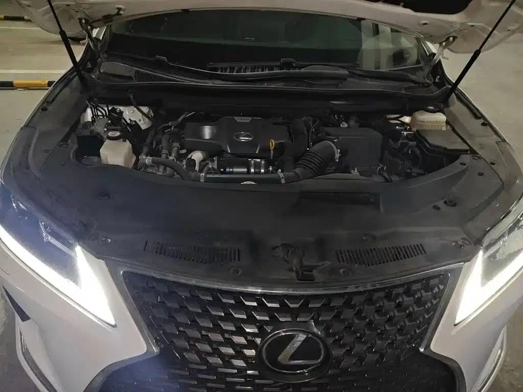 Lexus RX 2020 300 2WD Comfort Edition (China VI Emission Standard) — миниатюра 16