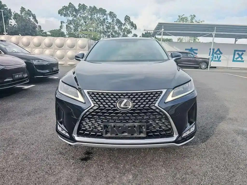 Lexus RX 2020 300 2WD Elite Edition (China VI Emission Standard) — миниатюра 2