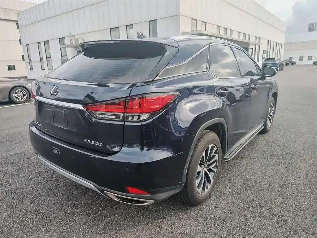 Lexus RX 2020 300 2WD Elite Edition (China VI Emission Standard) — миниатюра 8