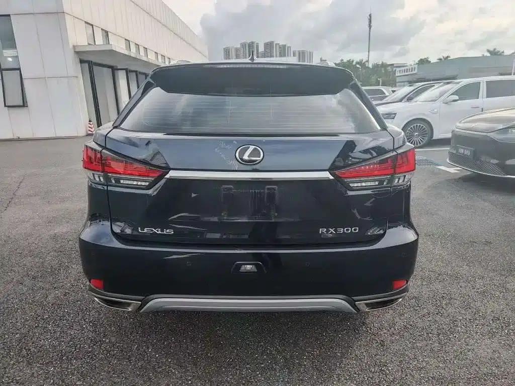 Lexus RX 2020 300 2WD Elite Edition (China VI Emission Standard) — миниатюра 9