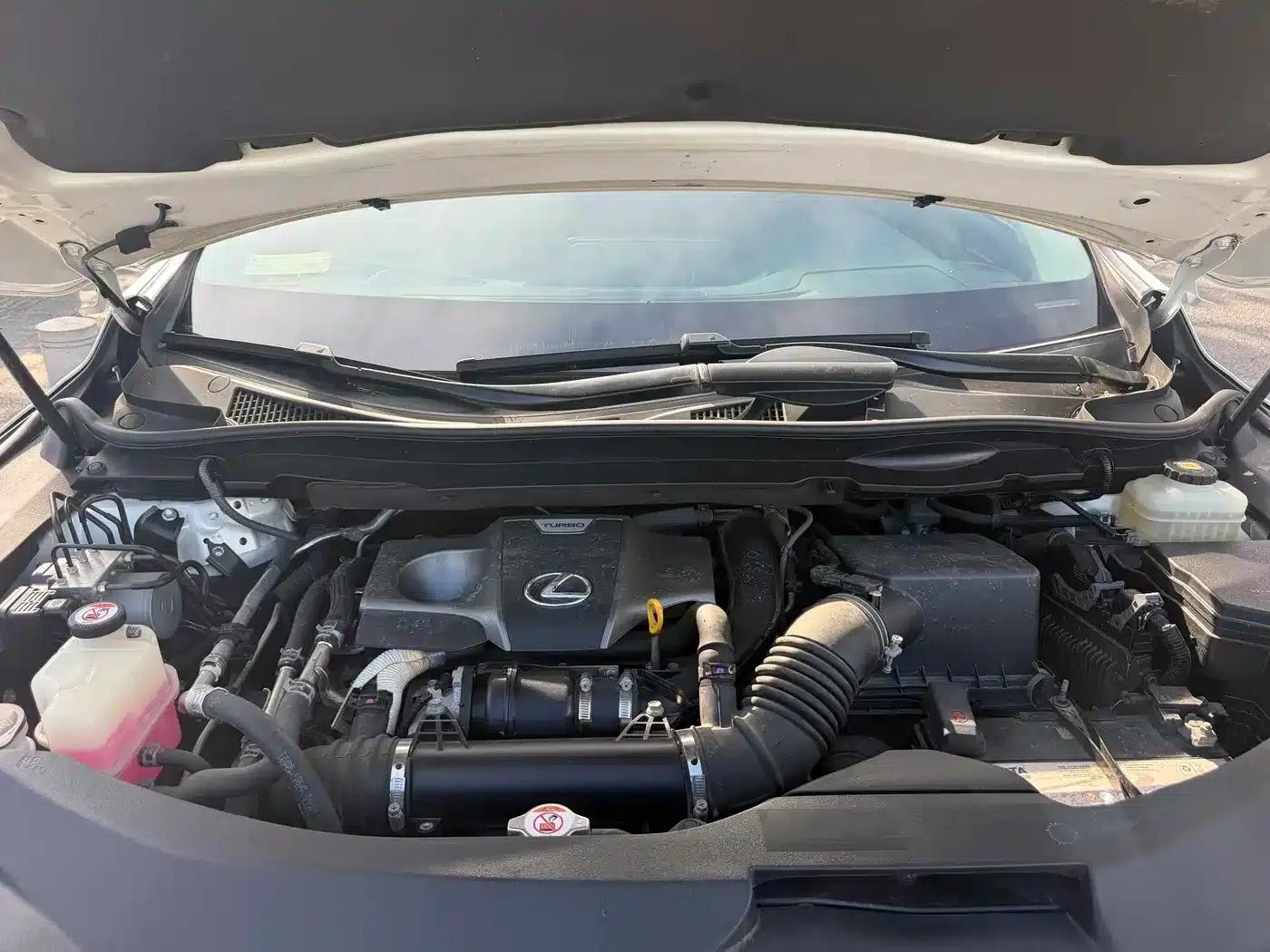 Lexus RX 2016 300 2WD Elite Edition (China VI Emission Standard) — миниатюра 13