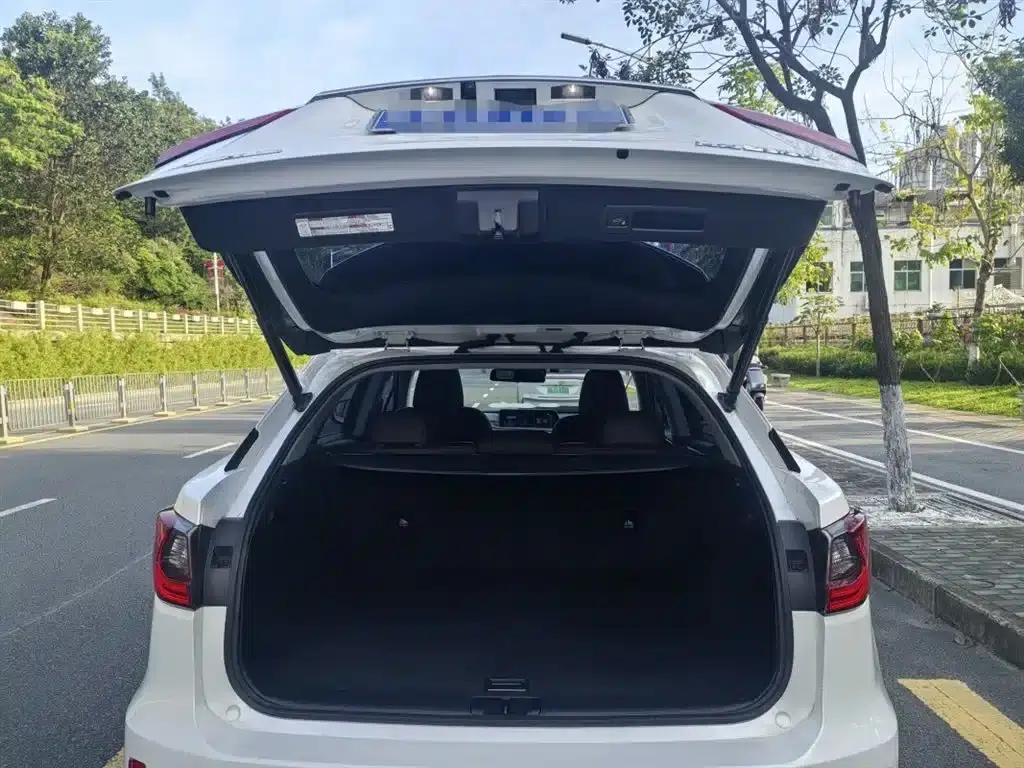 Lexus RX 2016 300 2WD Comfort Edition (China V emission standard) — миниатюра 12