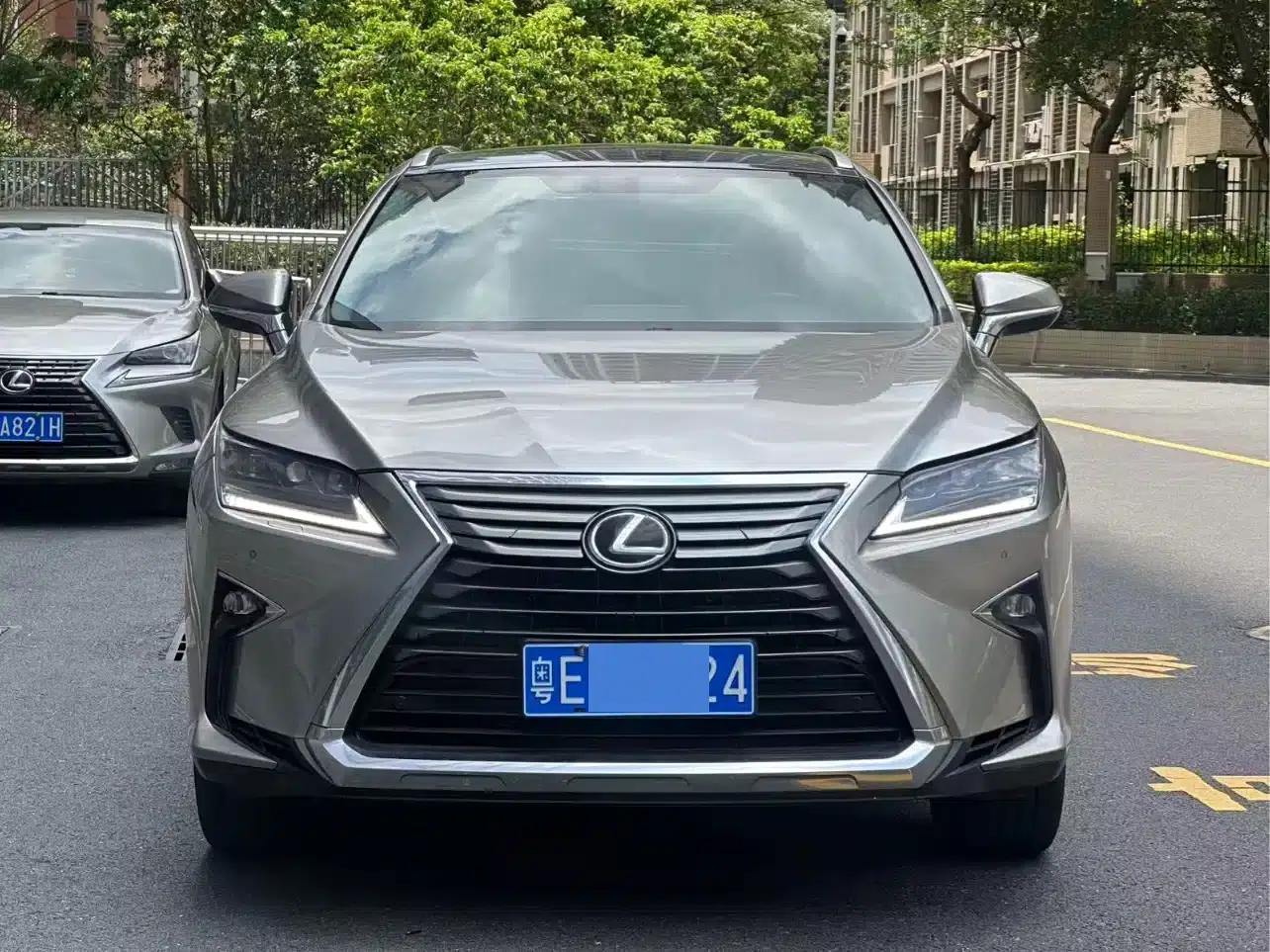 Lexus RX 2020 300 AWD Elegant Edition (China VI Emission Standard) — миниатюра 1