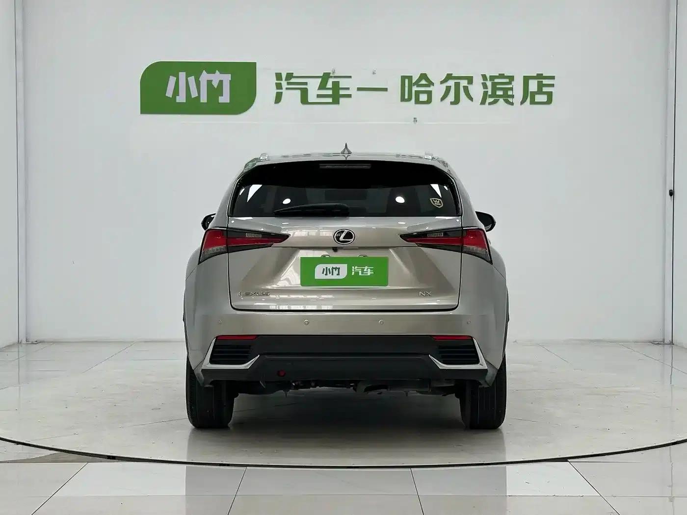 Lexus NX 2020 200 AWD Sport Edition (China V Emission Standard) — миниатюра 6