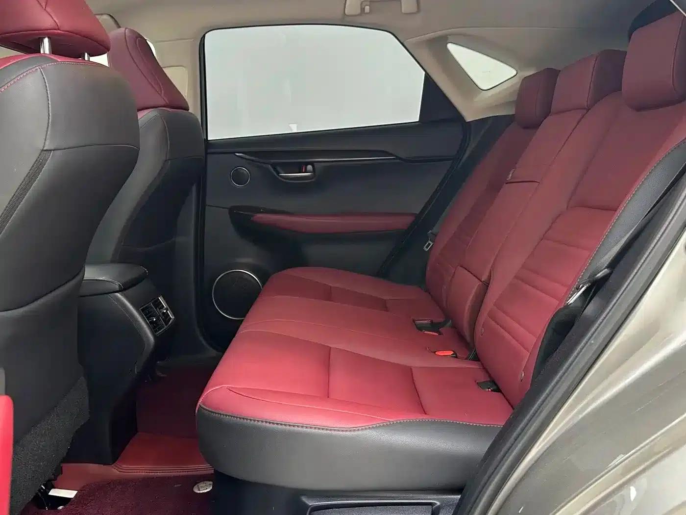 Lexus NX 2020 200 AWD Sport Edition (China V Emission Standard) — миниатюра 8