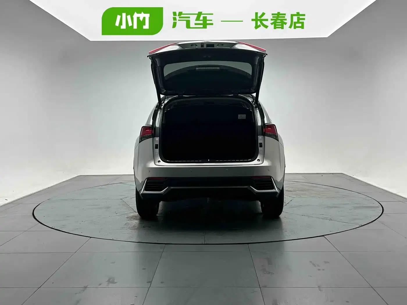 Lexus NX 2020 200 FWD Sport Edition (China VI Emission Standard) — миниатюра 5