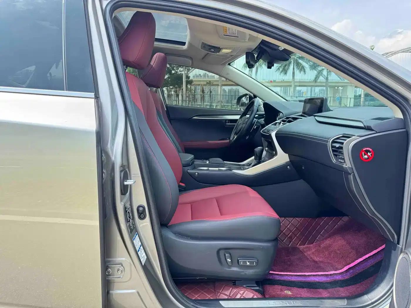 Lexus NX 2020 200 AWD Sport Edition (China V Emission Standard) — миниатюра 12