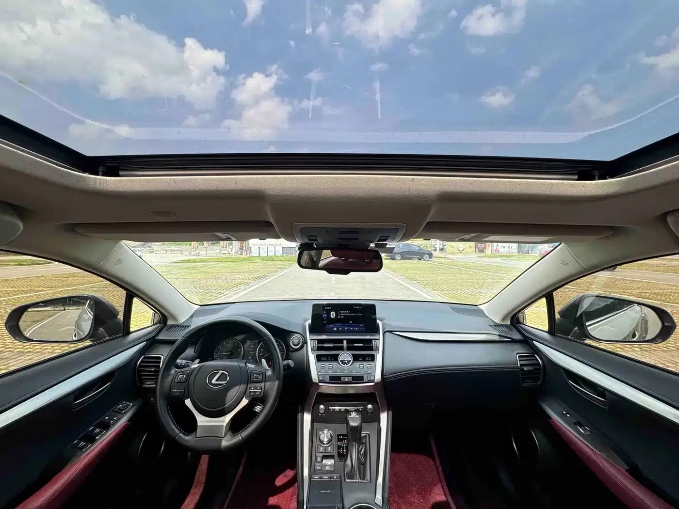 Lexus NX 2020 200 AWD Sport Edition (China V Emission Standard) — миниатюра 16