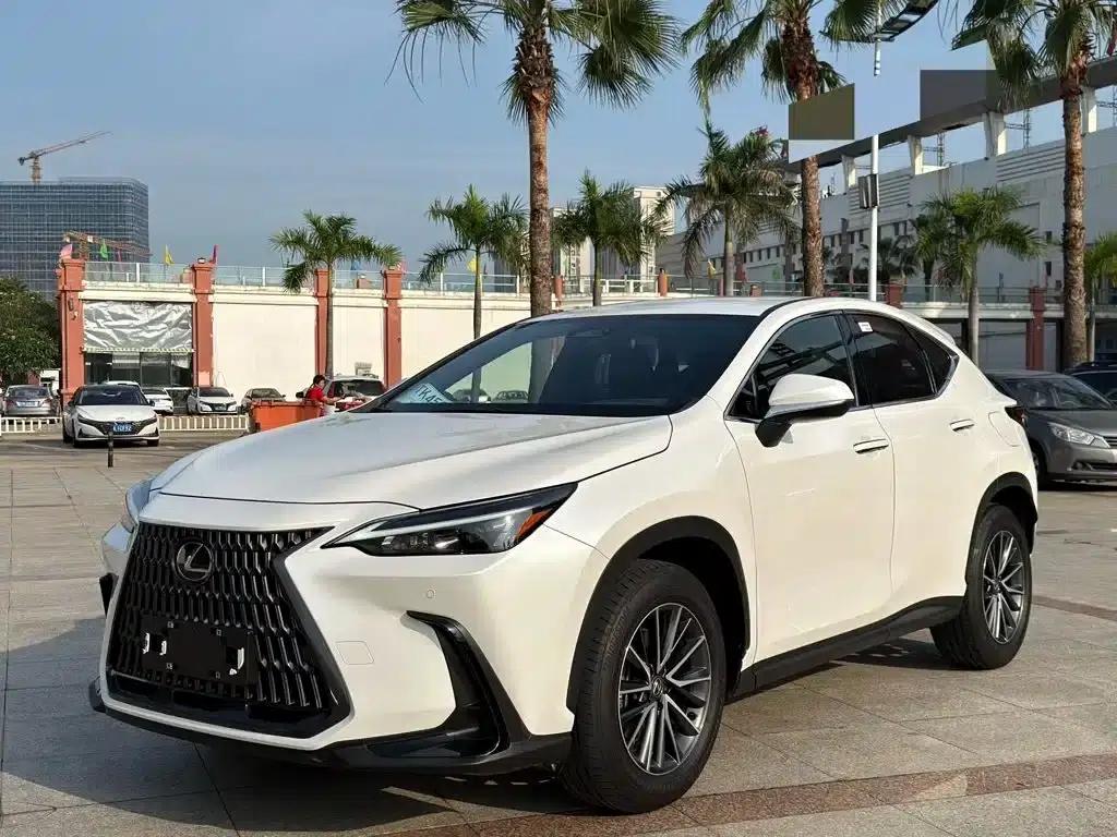 Lexus NX 2022 260 AWD Skyactiv-G — миниатюра 1